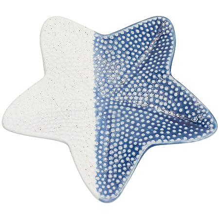Ceramic Jewelry Plates AJEW-WH20455-016A-02-1