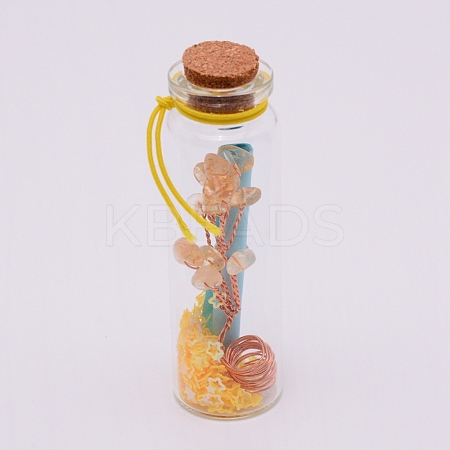 Mini Glass Wishing Bottles GLAA-WH0018-77E-1