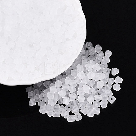 FGB Frosted Transparent Glass Seed Beads SEED-N013-03A-01-1