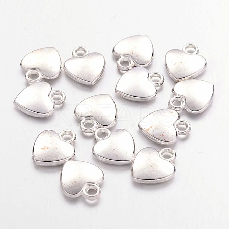 Tibetan Style Alloy Charms X-K08QL022-1
