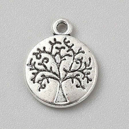 Tibetan Style Alloy Pendants FIND-WH0818-10AS-04-1