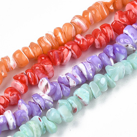 Natural Freshwater Shell Beads Strands SHEL-N003-23-1