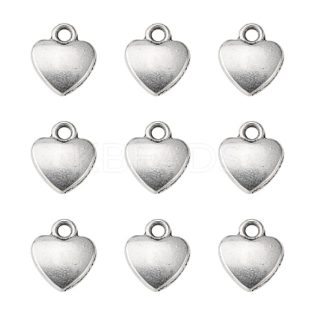 Tibetan Style Alloy Charms LS-X-LF1170Y-1