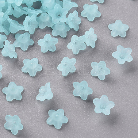 Transparent Acrylic Beads PL554-11-1