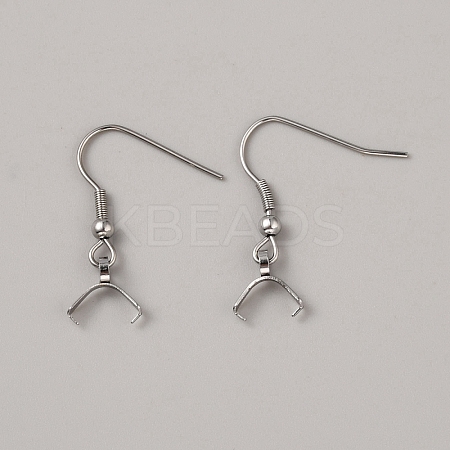 304 Stainless Steel Earring Hooks STAS-WH0027-70P-1