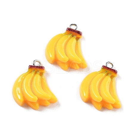 Opaque Resin Pendants RESI-S013-02L-1