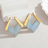 304 Stainless Steel & Acrylic Hoop Earrings EJEW-T054-05G-1