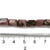 Natural Rhodonite Beads Strands G-G085-A16-01-4
