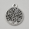 Tibetan Style Alloy Pendants FIND-WH0818-10AS-06-1