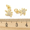 Brass Micro Pave Clear Cubic Zirconia Charms KK-Z044-32G-3