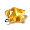 Marine Series Transparent Resin Pendants RESI-E031-02P-05-3