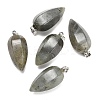 Natural Labradorite Pendants GG-K002-16M-1