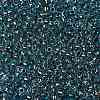 TOHO Round Seed Beads SEED-XTR08-0748-2