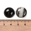 Natural Banded Agate(Dyed & Heated) Cabochons G-B085-02B-12-3
