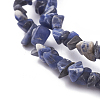 Natural Sodalite Beads Strands G-G782-31-3