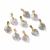 Natural Labradorite Pendants G-C023-07K-1