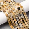 Natural Crazy Agate Beads Strands G-M403-A51-02-1