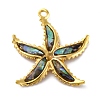304 Stainless Steel Pave Natural Paua Shell/Abalone Shell Pendants STAS-S163-21G-1