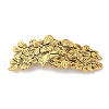 Alloy Retro Hair Barrettes LS-AJEW-K048-12AG-1