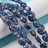 Natural Blue Spot Jasper Beads Strands G-M420-D08-01-2