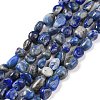 Natural Lapis Lazuli Beads Strands G-F575-01F-1