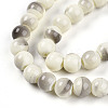 Baking Paint Glass Beads Strands DGLA-N013-8mm-02-3