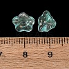 Transparent Glass Beads GLAA-T025-81B-02-3