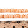 Natural Freshwater Shell Dyed Beads Strands SHEL-T020-29A-07-4