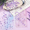 Resin Cabochons Sets RESI-TA0003-57-6