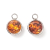 304 Stainless Steel Glass Rhinestone Charms STAS-E052-56C-1