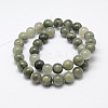 Natural Green Rutilated Quartz Beads Strands X-G-P325-03-8mm-2
