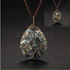 Double Sided Natural Paua Shell Copper Wire Wrapped Tree of Life Teardrop Pendant Necklaces FS-WG9357B-01-1