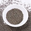MIYUKI Delica Beads Small X-SEED-J020-DBS0380-2