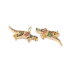 Rack Plating Brass Micro Pave Colorful Cubic Zirconia Pendants ZIRC-C040-48D-G-3