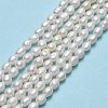 Natural Cultured Freshwater Pearl Beads Strands PEAR-J006-08C-01-2