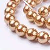 Shell Pearl Beads Strands BSHE-L035-10mm-I02-1