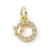 Brass Micro Pave Clear Cubic Zirconia Charms ZIRC-F132-55G-1