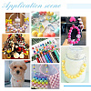 1 Set Acrylic Beads Set FIND-PH0007-04B-5
