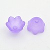 Transparent Acrylic Beads LS-X-FACR-R017-01-1