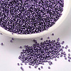 MIYUKI Delica Beads SEED-X0054-DB0430-1