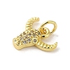 Rack Plating Brass Micro Pave CLear Cubic Zirconia Charms KK-C053-12G-2