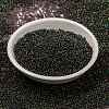 MIYUKI Round Rocailles Beads SEED-JP0010-RR2446-2
