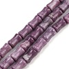 Natural Lepidolite/Purple Mica Stone Beads Strands G-F792-B01-2