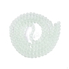 Baking Paint Transparent Glass Bead Strands GLAA-S031-8mm-29-4
