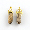 Picture Jasper Stone Pendants with Alloy Findings G-R278-24G-1