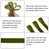 Velvet Ribbon SRIB-WH0006-18H-5