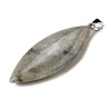 Natural Labradorite Big Pendants G-F820-06A-2