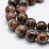 Natural Glaucophane Beads Strands G-K209-04A-12mm-3