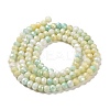 Faceted Electroplated Glass Beads Strands GLAA-C023-02-C14-4