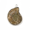 Natural Conch Fossil Pendants BSHE-E025-02P-2